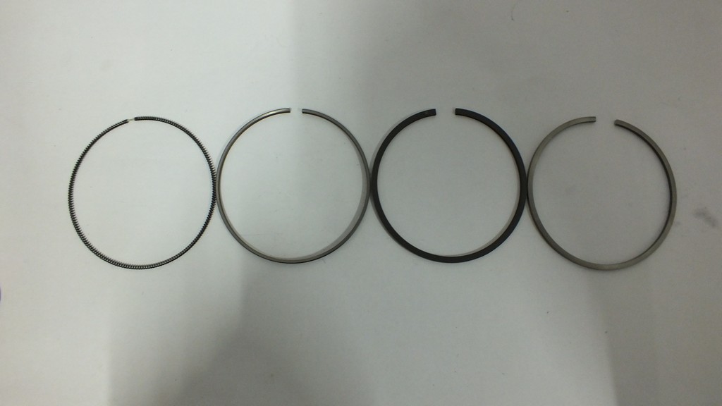 SEGMAN STD